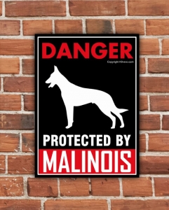 https://www.k9-k4.be/files/modules/products/172/photos/product_danger-malinois.JPG