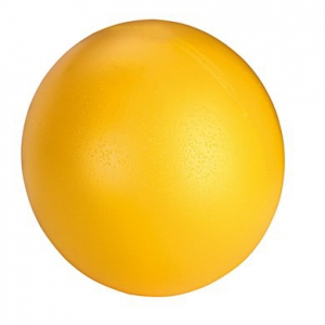 https://www.k9-k4.be/files/modules/products/802/photos/product_giant-ball.jpg